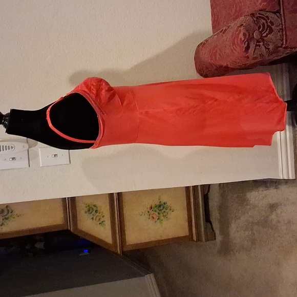 Strainfers Full Slip - Picture 3 of 6